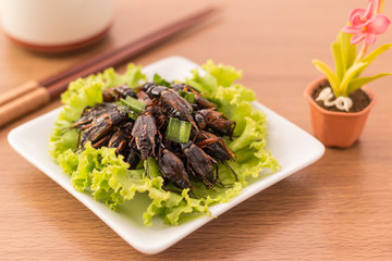 Fried insects