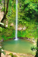 Fototapeta premium Katibawasan Falls. Philippine paradise. Camiguin island.
