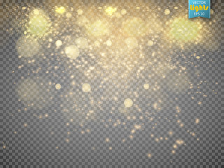 Christmas concept. Vector gold glitter particles background effect