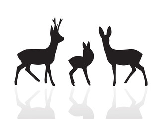 Set silhouette deer isolated