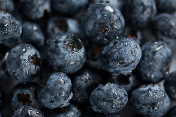Close-up of fresh blueberries with water drops