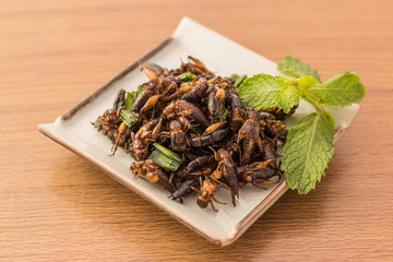 Fried insects