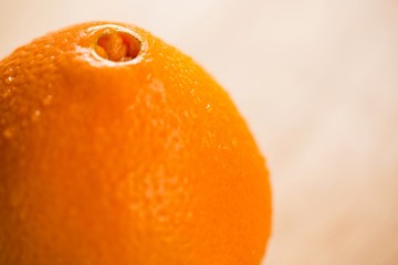Close-up of orange