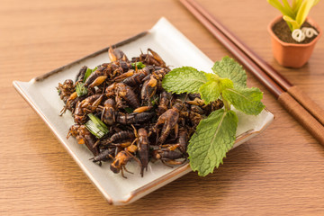 Fried insects