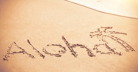 Aloha written text with palm tree on sand