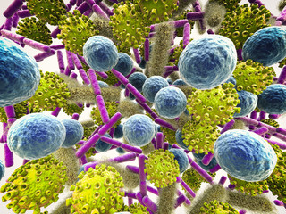 various bacteria cells and virus
