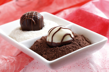 Praline,Pralinens in Kakaopulver und weißer Schokolade