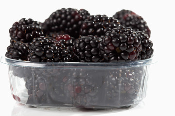 Brombeeren im Platikschälchen  auf weissem Untergrund