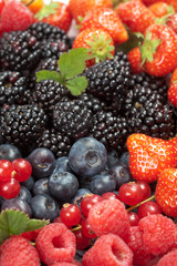 Johannisbeeren, Brombeeren, Erdbeeren, Blaubeeren, closeup