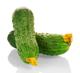 Two fresh cucumber with flowers isolated on white.