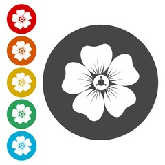 Silhouette of flower icons set 