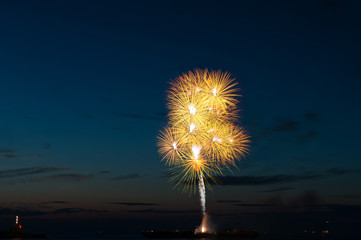 Salute of colorful golden firework above the sea