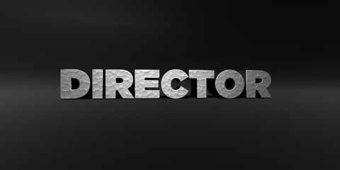 DIRECTOR - hammered metal finish text on black studio - 3D rendered royalty free stock photo. This image can be used for an online website banner ad or a print postcard.