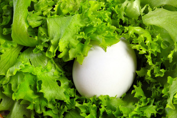 egg in lettuce