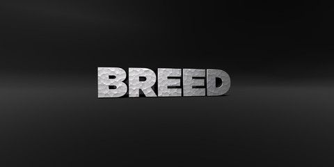 BREED - hammered metal finish text on black studio - 3D rendered royalty free stock photo. This image can be used for an online website banner ad or a print postcard.