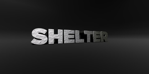 SHELTER - hammered metal finish text on black studio - 3D rendered royalty free stock photo. This image can be used for an online website banner ad or a print postcard.