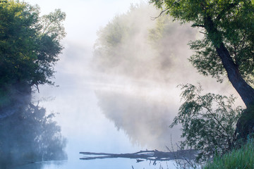 fog on the river