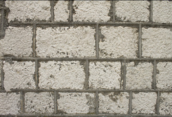 Brick wall texture and background