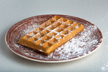 Whole wheat Belgium waffle horizontal view