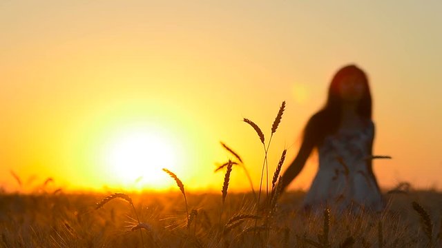 girl dancing in sunset in a wheat field, ears of wheat on sun, silhouette of a girl with long hair on background sunset