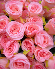 pink fake roses, floral background