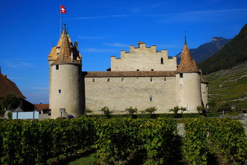 Aigle Castle