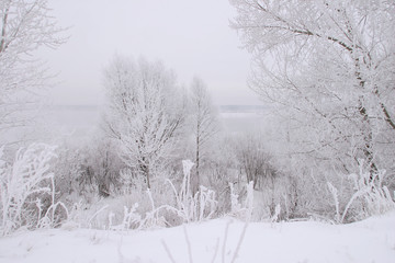 Winter on the river