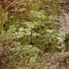 abstract green background texture