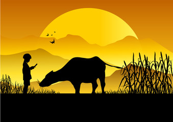 Silhouette of buffalo and young woman on sunset in garden.