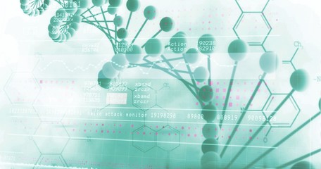 Panoramic view of information data on device screen