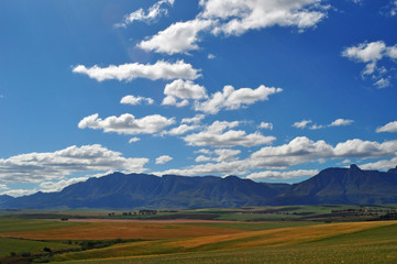 Sud Africa, 25/09/2009: il paesaggio sudafricano visto dalla N2, la celebre Garden Route, la strada panoramica della costa sud-orientale dal Wester Cape all' Eastern Cape