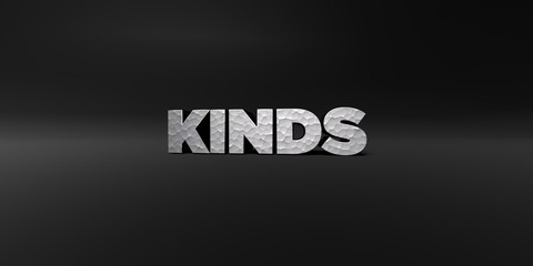 KINDS - hammered metal finish text on black studio - 3D rendered royalty free stock photo. This image can be used for an online website banner ad or a print postcard.