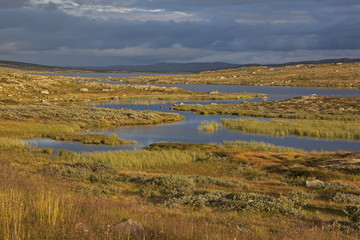 River through tundra in high Hardangervidda Norwegian plateau