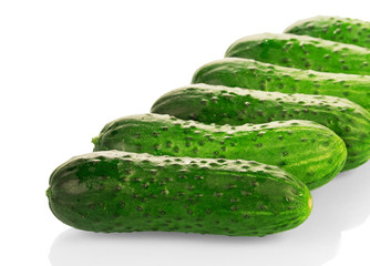 Fresh cucumbers decomposed in row isolated on white background.