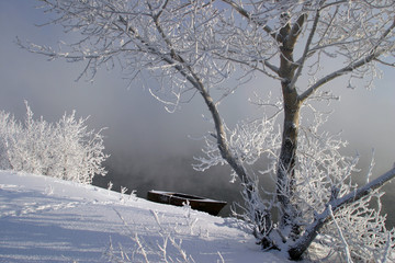 Fototapeta premium winter morning on the river