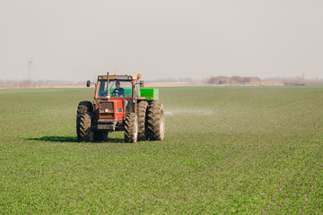 Farmer in tractor fertilizing wheat field at spring with npk