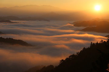 野迫川村の雲海と朝焼け