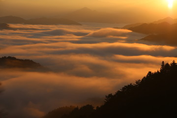 野迫川村の雲海と朝焼け