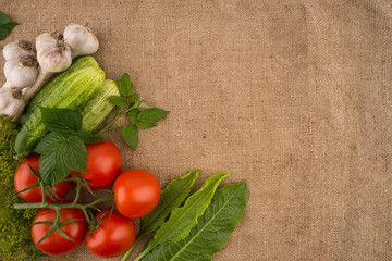 Cucumbers, tomatoes, garlic and dill on the background of old sa