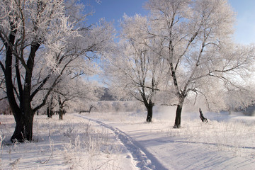 Fototapeta premium winter landscape