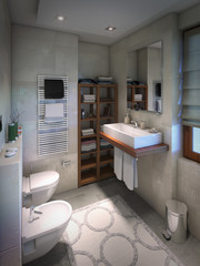 Big spacious bathroom interior, wc and bidet.3D render