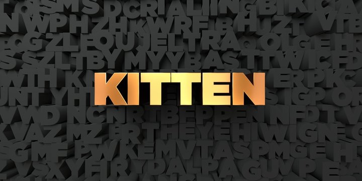 Kitten - Gold text on black background - 3D rendered royalty free stock picture. This image can be used for an online website banner ad or a print postcard.