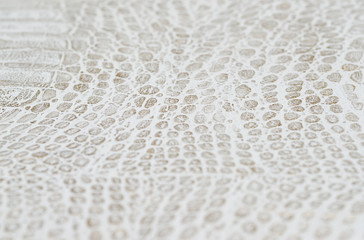 Fototapeta premium White leather texture background