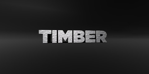 TIMBER - hammered metal finish text on black studio - 3D rendered royalty free stock photo. This image can be used for an online website banner ad or a print postcard.