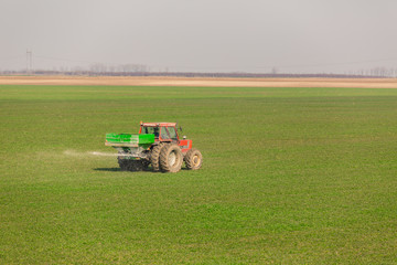 Farmer in tractor fertilizing wheat field at spring with npk