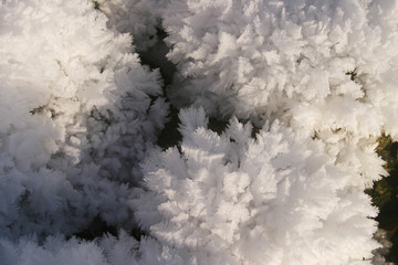 Fototapeta na wymiar snow macro