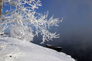 winter morning on the river
