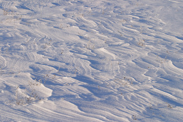 intricate patterns in the snow