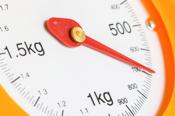 Weight Scale 