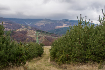 Fototapeta na wymiar hills with forests